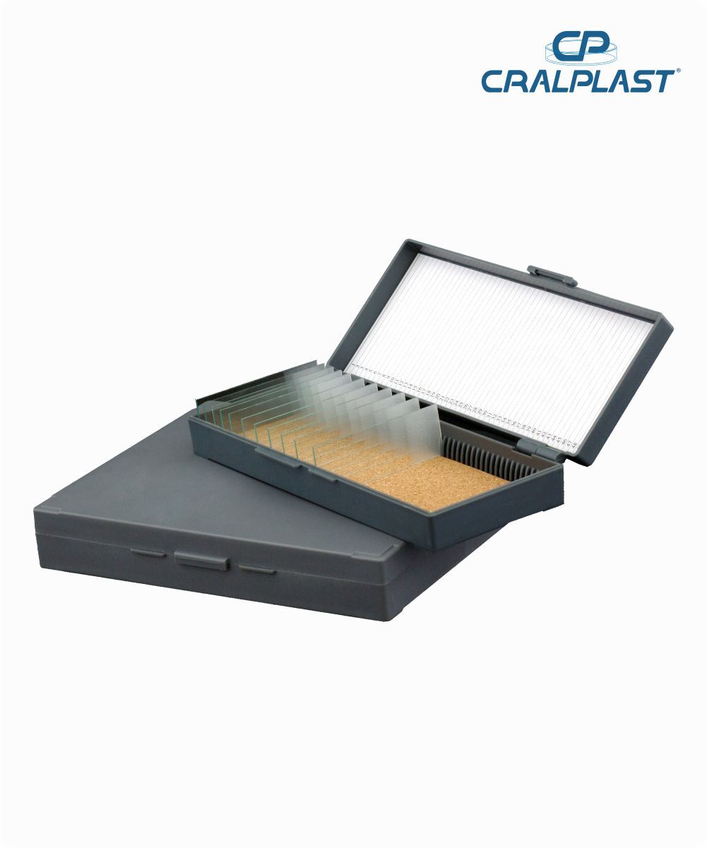 Caixa plástica porta 100 lâminas